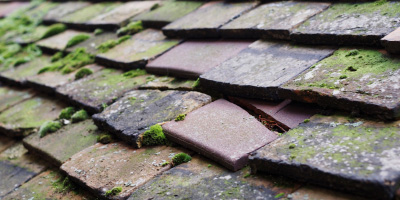 Fulbrook roof repair costs